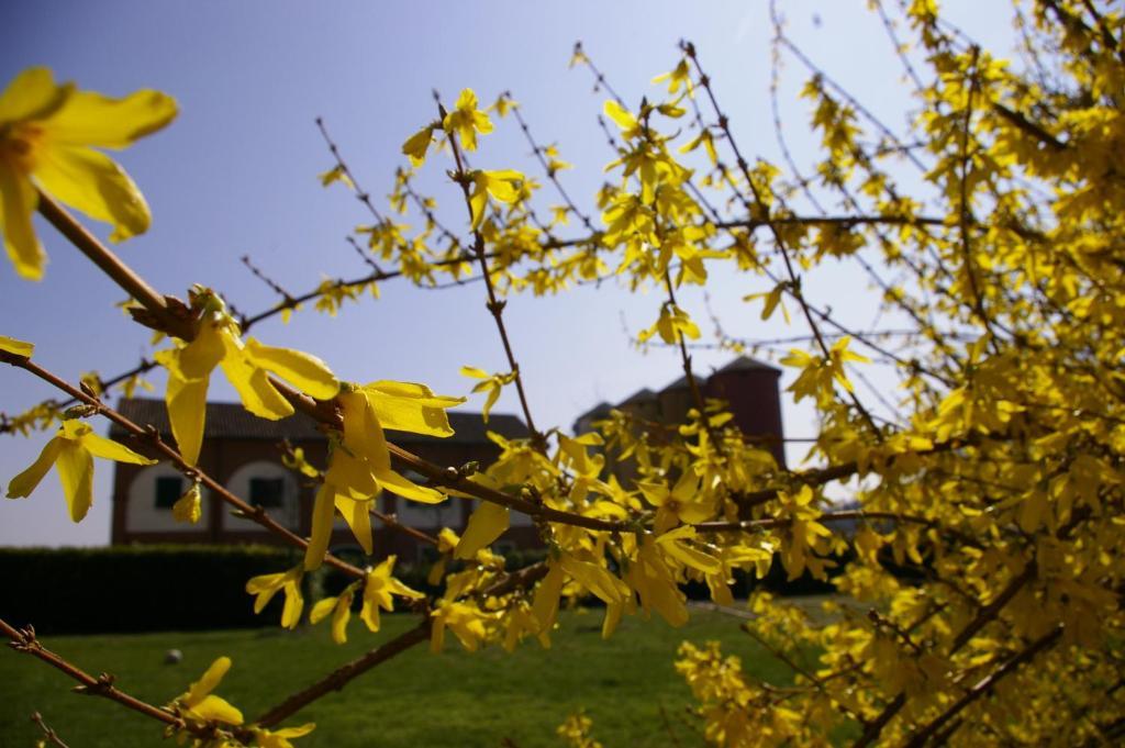 Agriturismo Cascina Nuova Villa Валенца Екстериор снимка