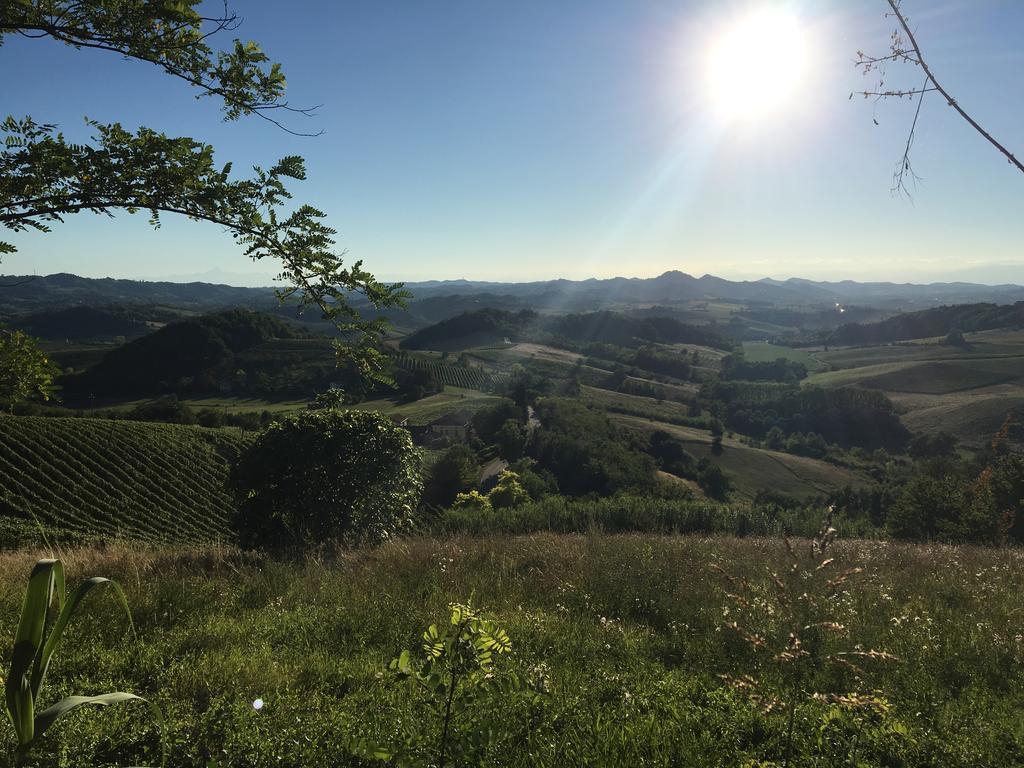 Agriturismo Cascina Nuova Villa Валенца Екстериор снимка