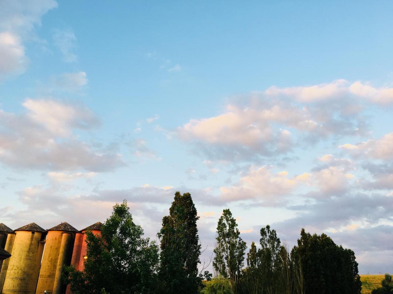 Agriturismo Cascina Nuova Villa Валенца Екстериор снимка