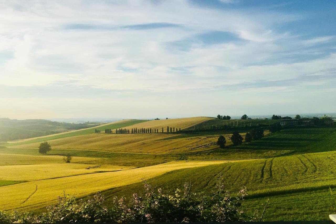 Agriturismo Cascina Nuova Villa Валенца Екстериор снимка